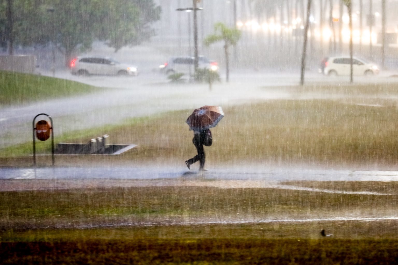 Foto-Joel-Rodrigues_Agencia-Brasilia-1536x1024-1.jpg